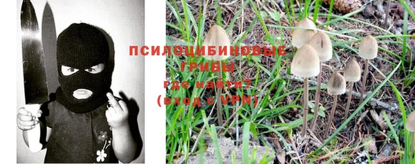 наркотики Белокуриха