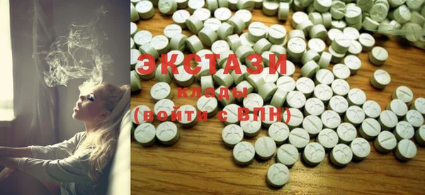 ECSTASY Богородицк