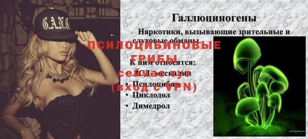 ГАЛЛЮЦИНОГЕННЫЕ ГРИБЫ Тихорецк