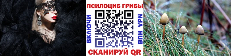 Псилоцибиновые грибы GOLDEN TEACHER Клинцы